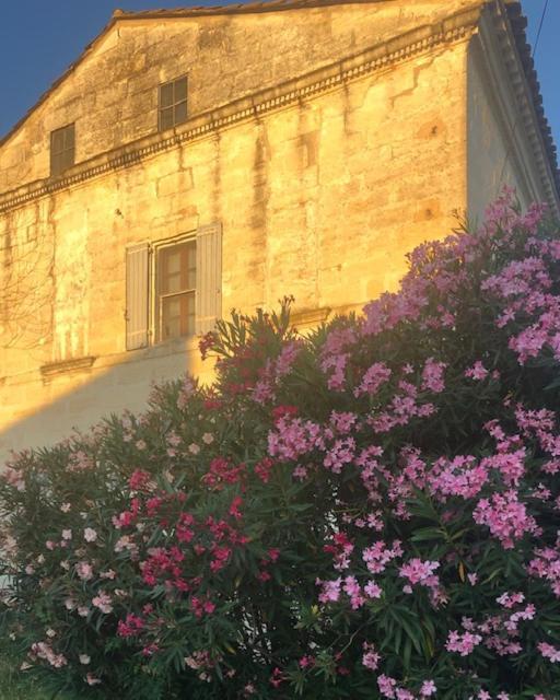 Le Mas Blanc Saint-Gilles  Εξωτερικό φωτογραφία